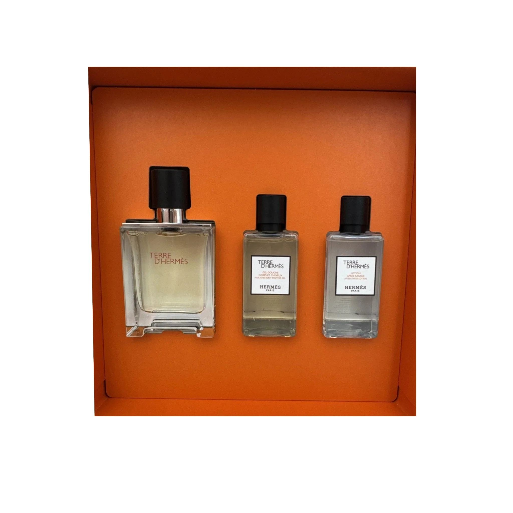 Hermes Terre d'Hermes Eau de Toilette for Men - Image 19