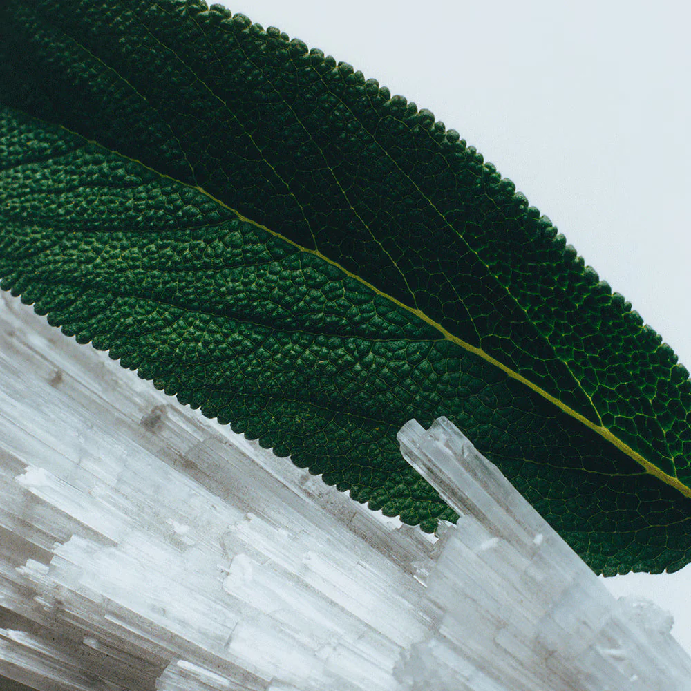 Jo Malone Wood Sage & Sea Salt - Image 2