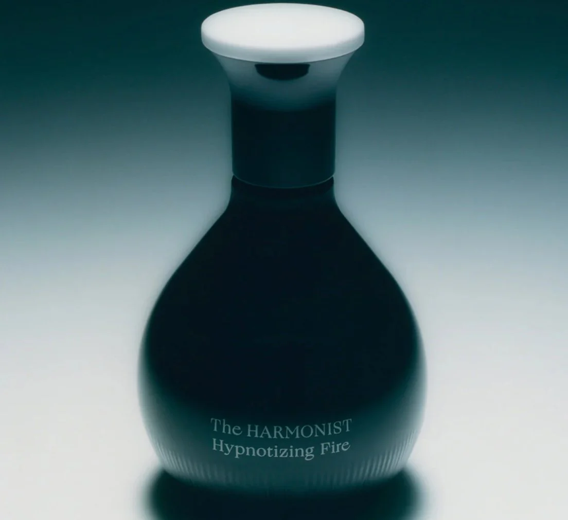 The Harmonist Hypnotizing Fire - Image 3
