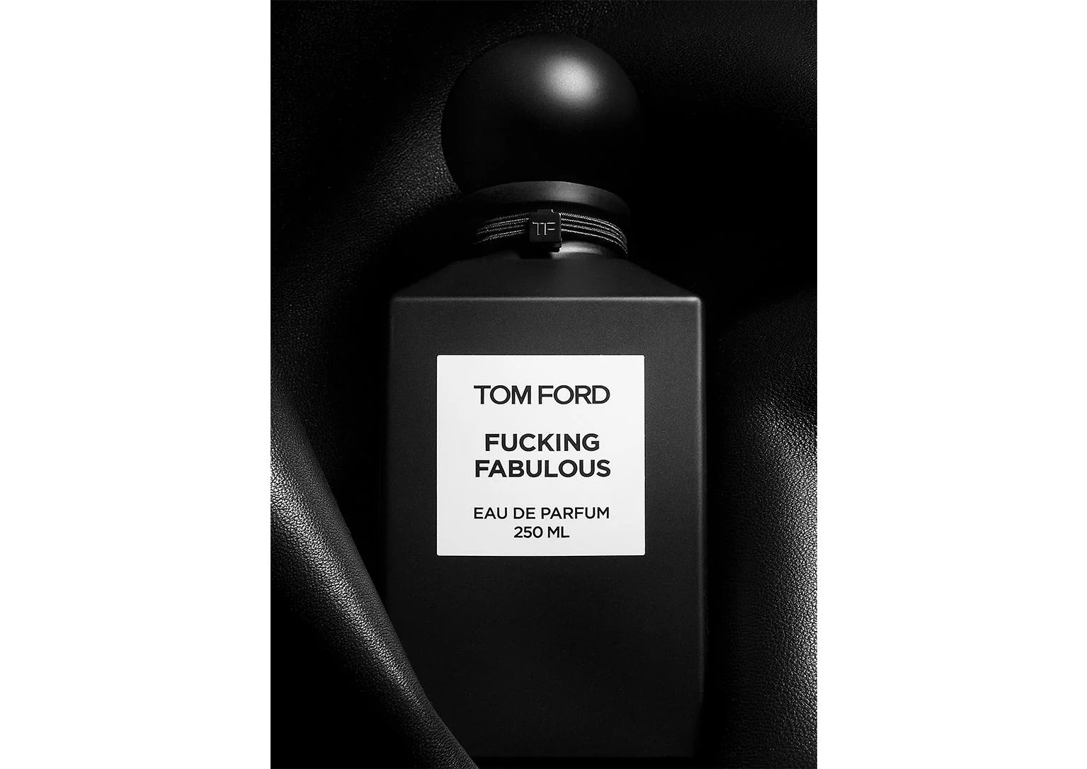 Tom Ford Fucking Fabulous - Image 3